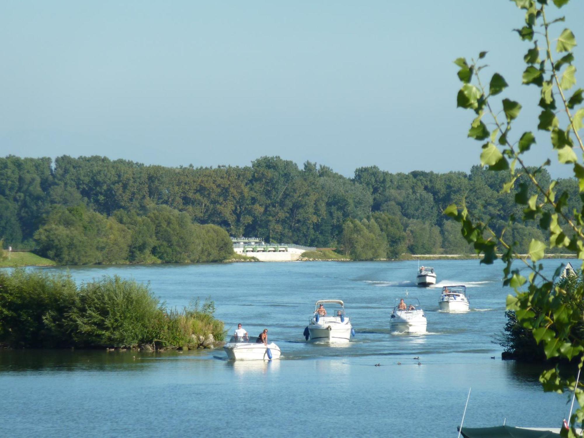 Camping & Pension Au An Der Donau Exterior photo